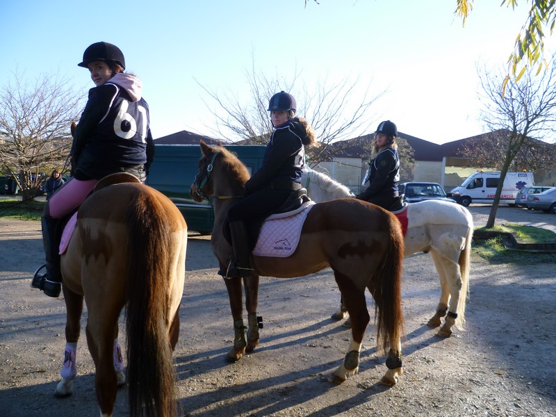 Clasificación del Campeonato Navarro de Trec 2012
